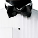 Wing Collar Formal Shirt in White and Ivory